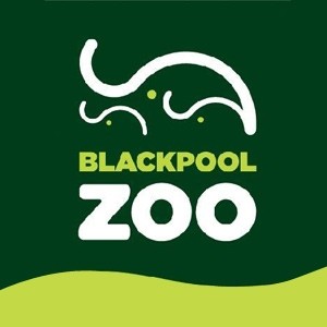 Save 15% on Blackpool Zoo Tickets - Discounts for Adults, Children, Seniors, Family 2 Adults, 2 Children and Family 2 Adults, 3 Children.
